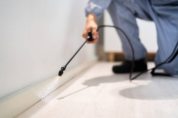 Bed Bug Pre-Treatment Preparation Assessment in Oregon