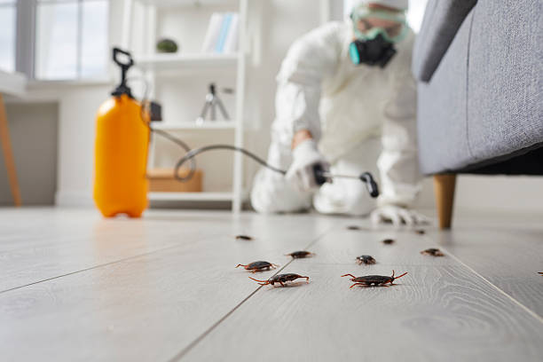 Post-Treatment Bed Bug Interceptor Monitoring in Oregon